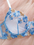 Gallery viewerに画像を読み込む, DeRossi フェアリーブルー フローラルエンブロイダリー シアーレース ブラショーツSET