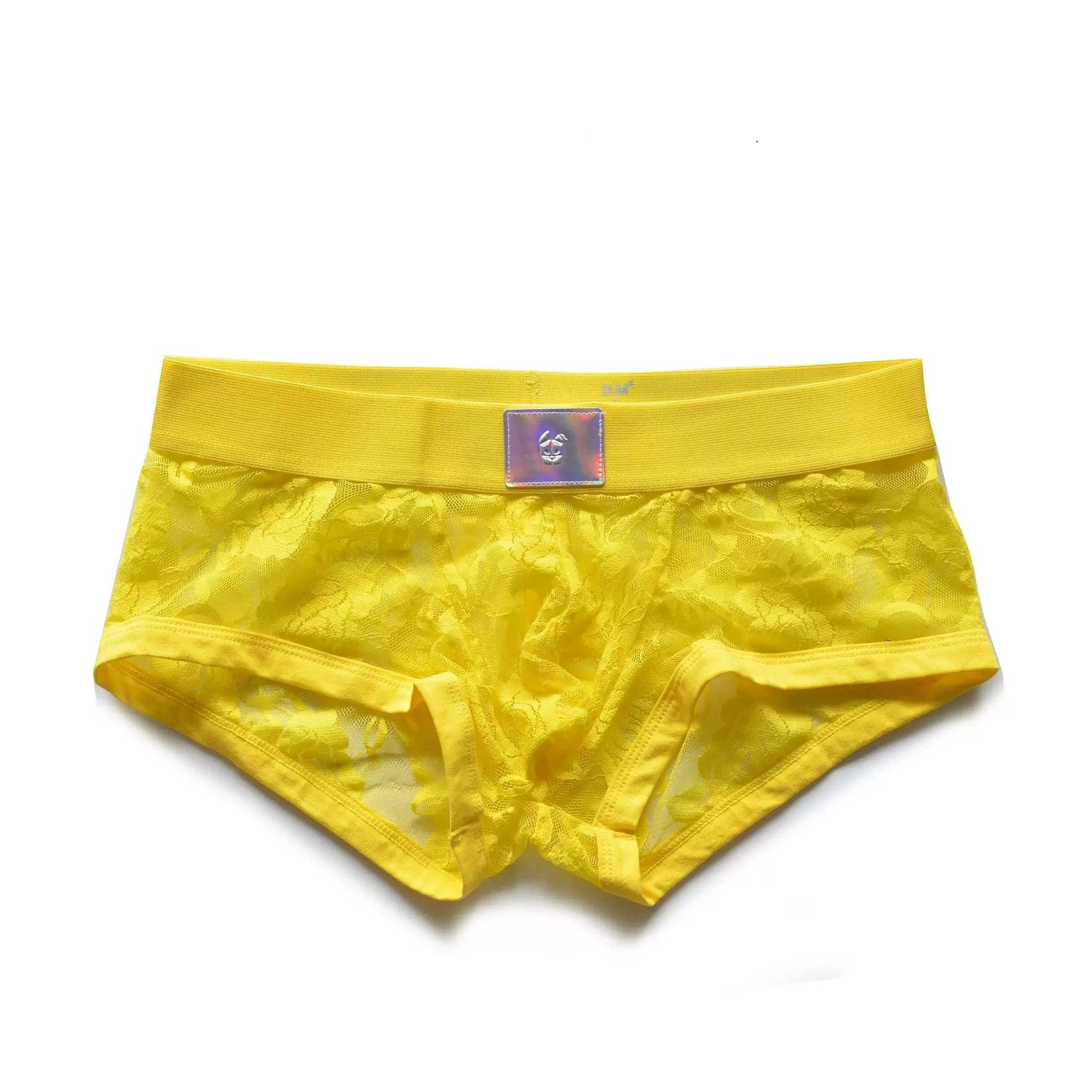 ブラックレースメンズブリーフ