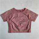Seamless Short Sleeve Crop Top Yoga Slim Fit T-shirts