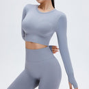 Long Sleeve  Seamless Yoga Suit Elastic Fitness Sports 2 Piece Set
